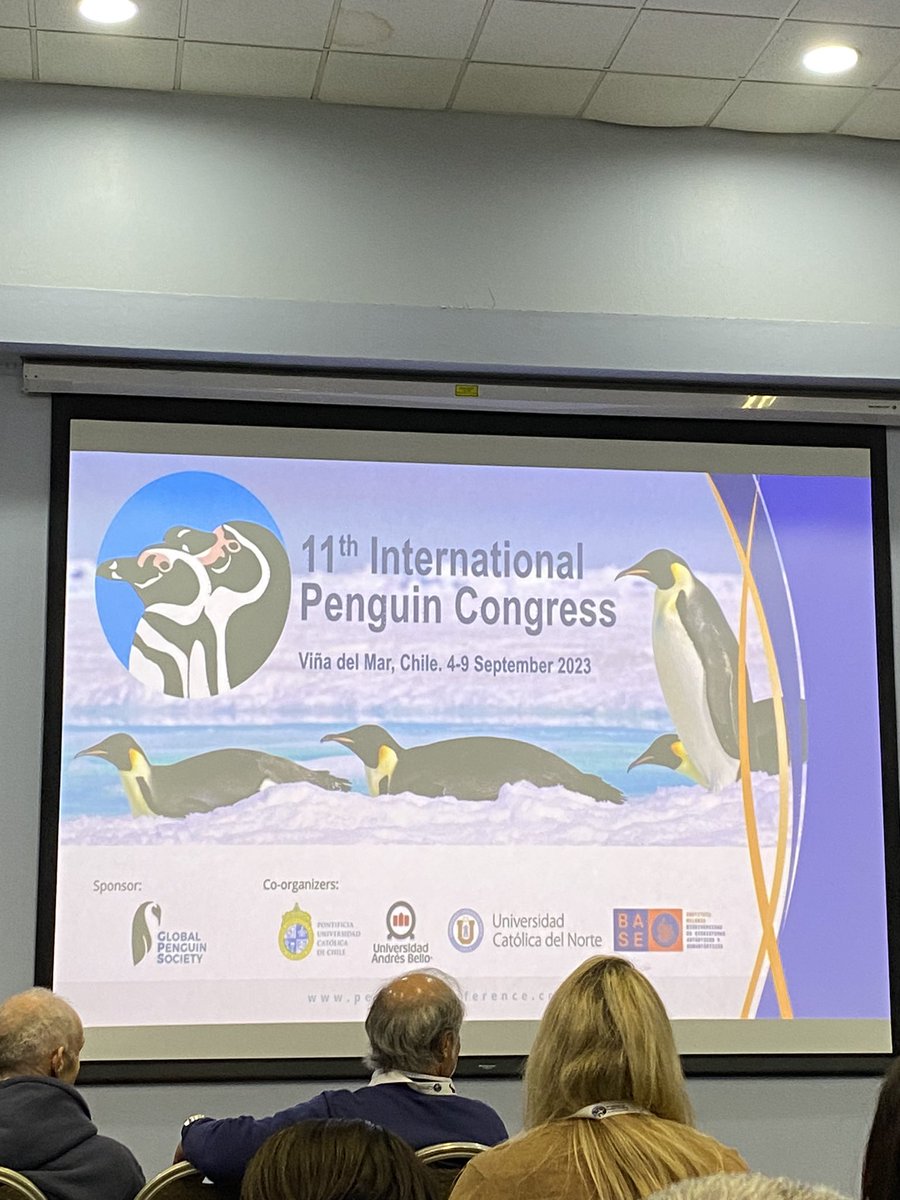 Maria Bas tweet media