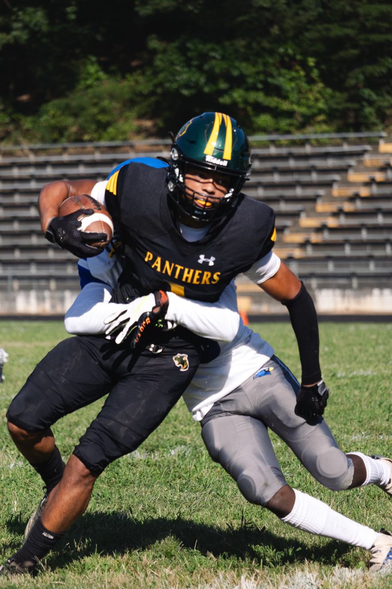 Parkdale_Sports's tweet photo. The Panthers are on the prowl this season led by senior Erik Hemby. Stay "tuned in" as the team hits the road this weekend to face the @gobowiebulldogs football team. https://t.co/ABWJhMwt7T