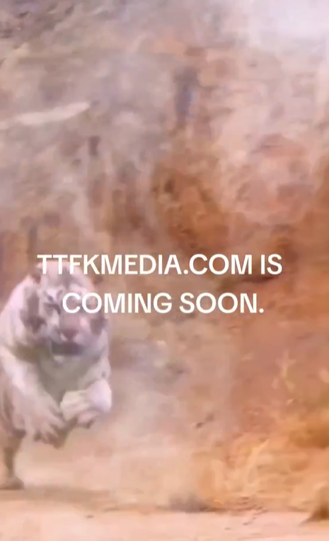 TTFKMedia's tweet photo. Stay tuned for an epic cinematic journey like never before!
#TTFKMediaNetwork #ComingSoon #EntertainmentHub #MovieBuff #TVShowAddict #DocumentaryLover #CreativityUnleashed #StayTuned https://t.co/W0gKKE2f0h