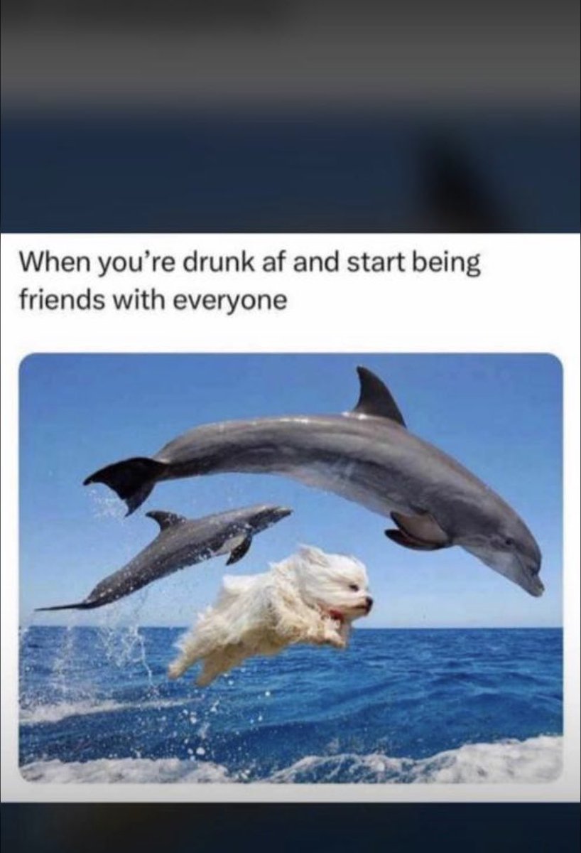 whale🐳🦙🔥 tweet media