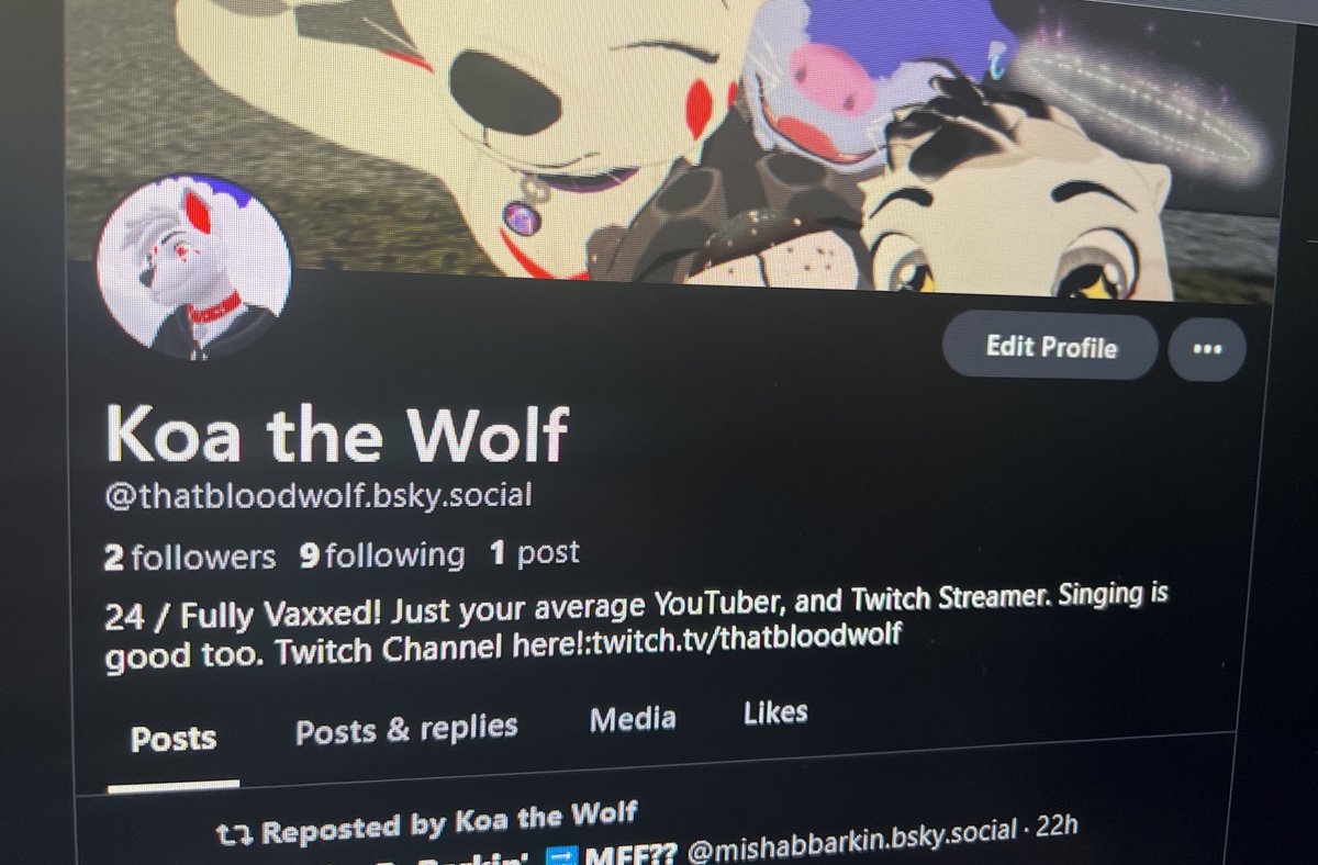 Koa The Wolf tweet media