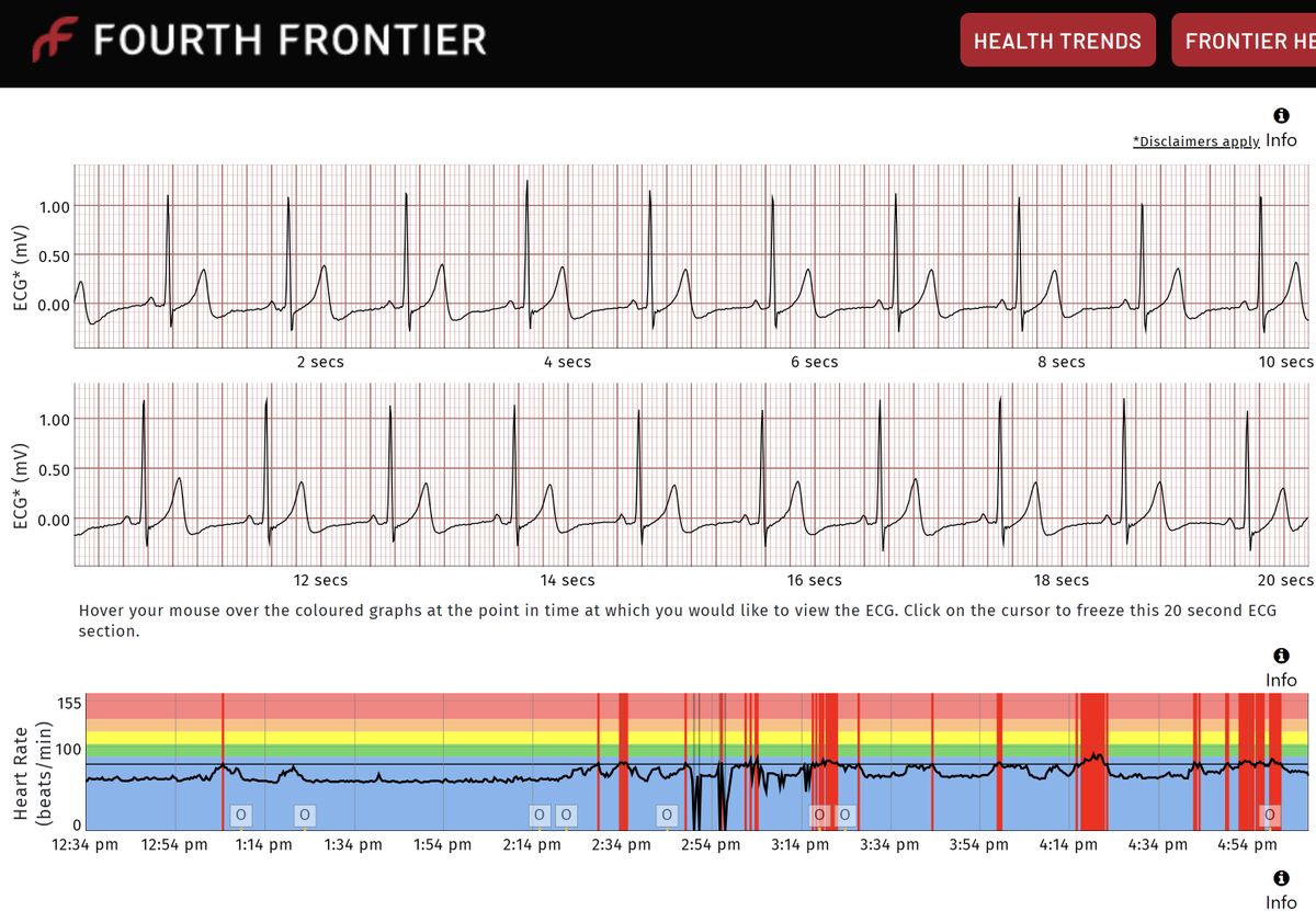 🕸️Dr.T, PhD tweet media