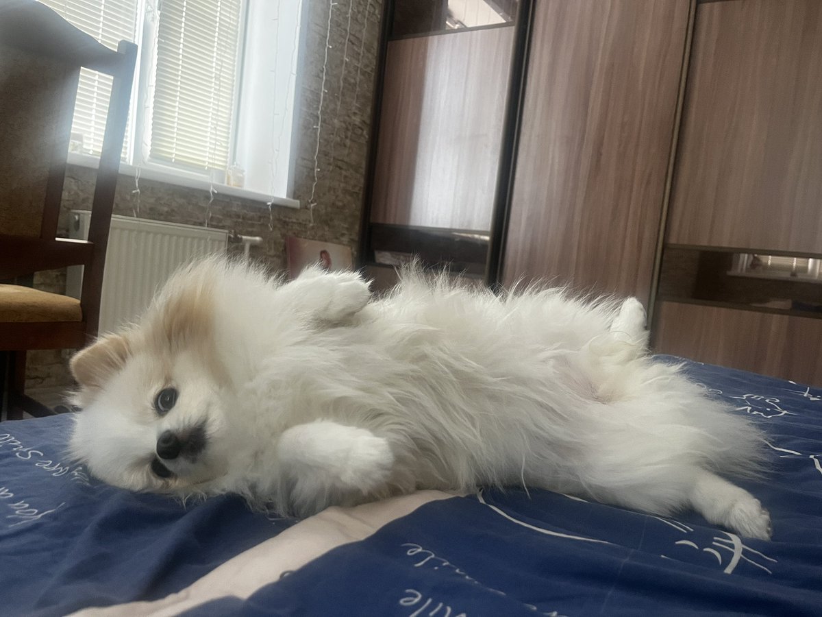 Косится