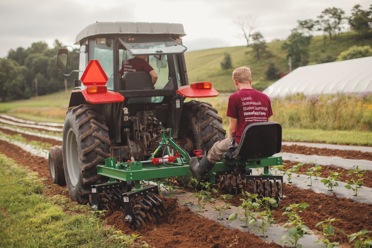 VTCals's tweet photo. This #LaborDay, we thank the hardworking farmers, ranchers, agricultural researchers, and educators who work tirelessly to ensure food security and high-quality ingredients are a reality for American families. #iamVTCALS #AgisAmerica https://t.co/AIov5Dtt4p