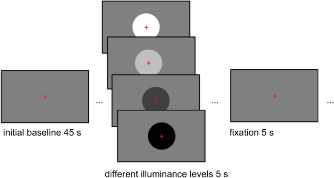 Acceleration of inferred neural responses to oddball targets in an individual with bilateral amygdala lesion compared to healthy controls v/ @NatureNews dlvr.it/Svcn63