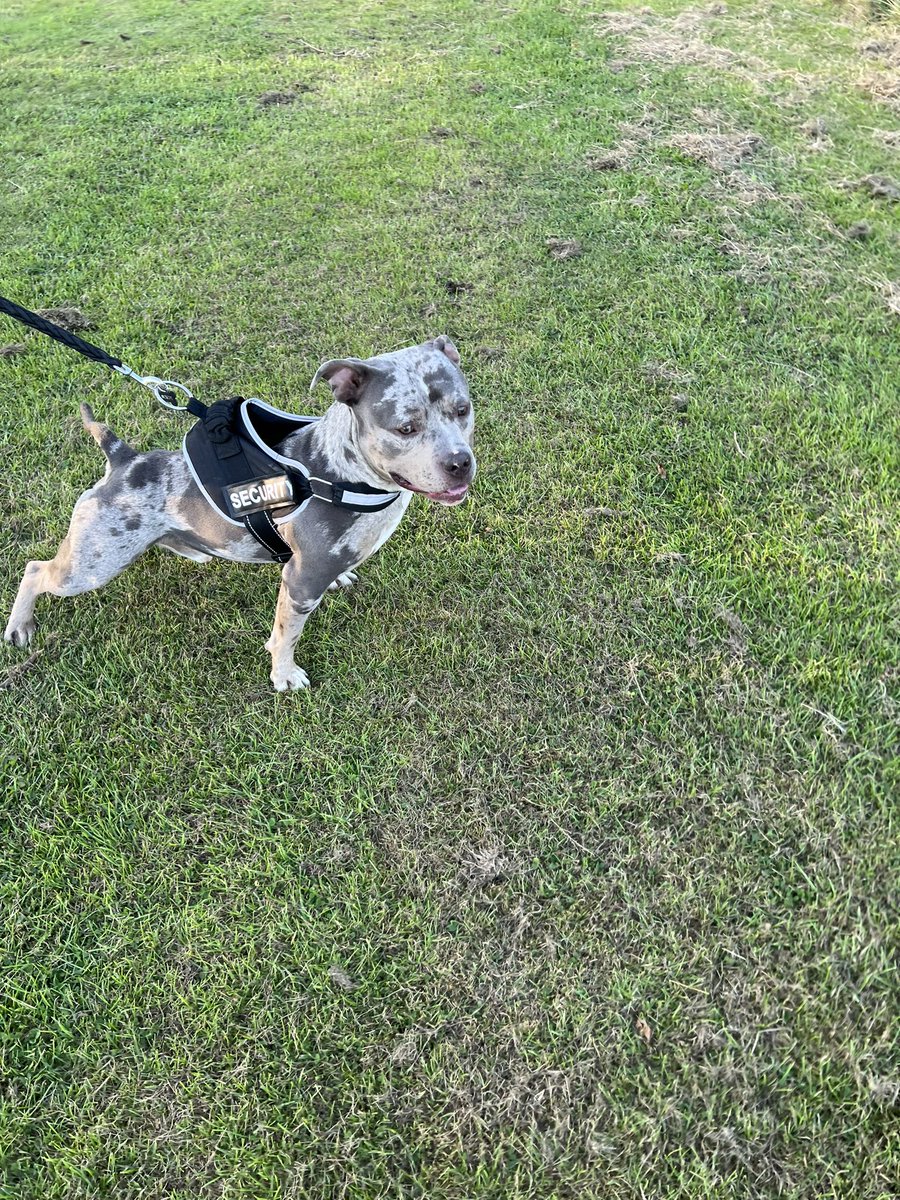 Tell me I’m dreaming guys is he not gorgeous