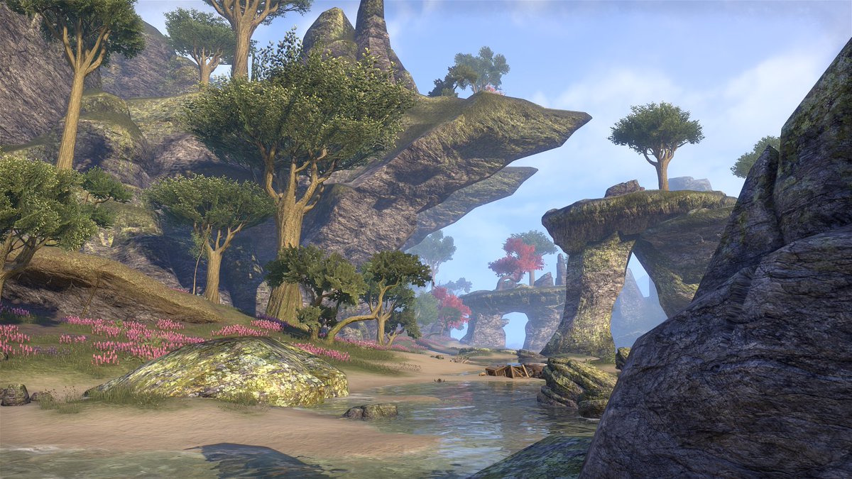 AceitunaAtomica's tweet photo. #Auridon #ElderScrollsOnline #ESOFam https://t.co/a9UyqWD1be