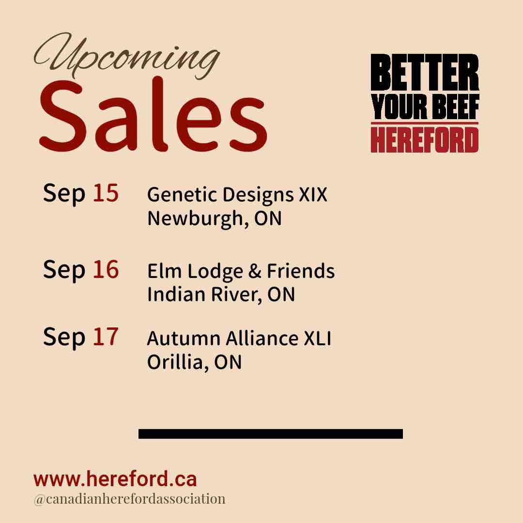 CAN_Hereford's tweet photo. Check out the Ontario sale run in two weeks! https://t.co/sA2mc4ybM5
