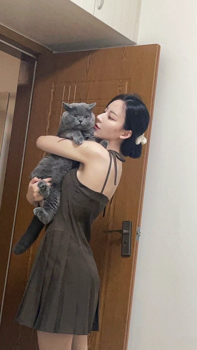 Shoulde22's tweet photo. 都不关注，这样的猫你们喜欢了吧？ https://t.co/gIQwfqTkVH