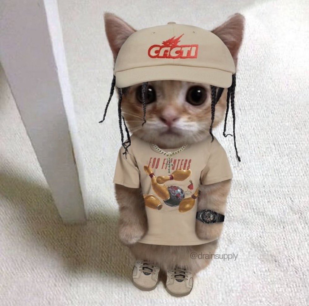 𝚝𝚊𝚢𝚘. 🦾 tweet media