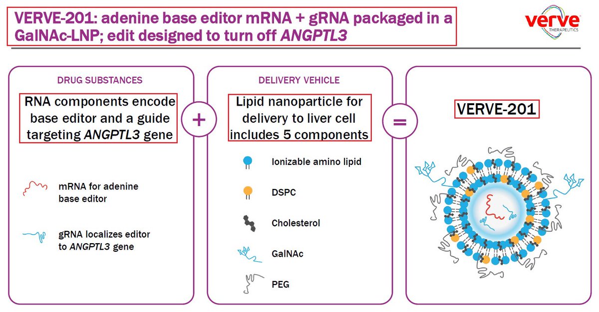 yaireinhorn's tweet photo. 5/VERVE-201 is composed of messenger RNA for an adenine #baseeditor & a guide RNA designed to target the ANGPTL3 gene packaged in @VerveTx’s proprietary lipid nanoparticle LNP delivery technology - GalNAc-LNP. https://t.co/EIDKN7k8rg
