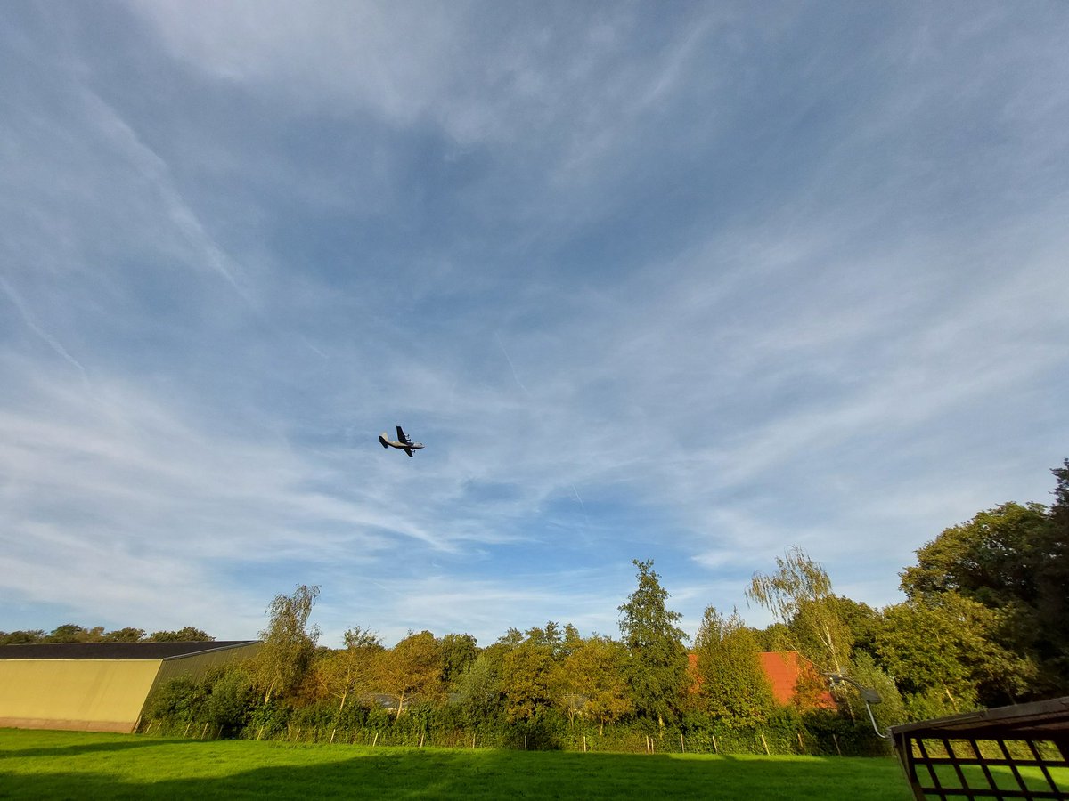 Joke de Jong tweet media