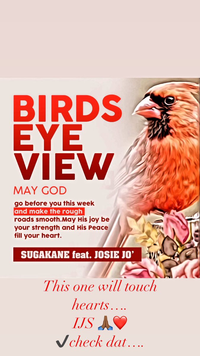 KaneMr52's tweet photo. NEW! single: Owt…. 🛫
This one will touch hearts 
#JOSIEJO
#BIRDSEYEVIEW
🦅👁️🫡
✔️check dat…. https://t.co/G6kUr7TagP