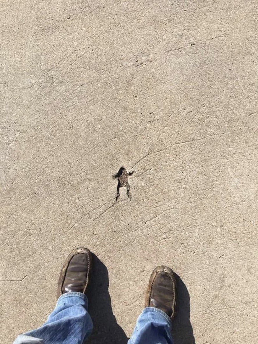 when I fell from heaven