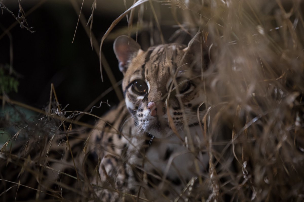 Amy Mathews Amos tweet media