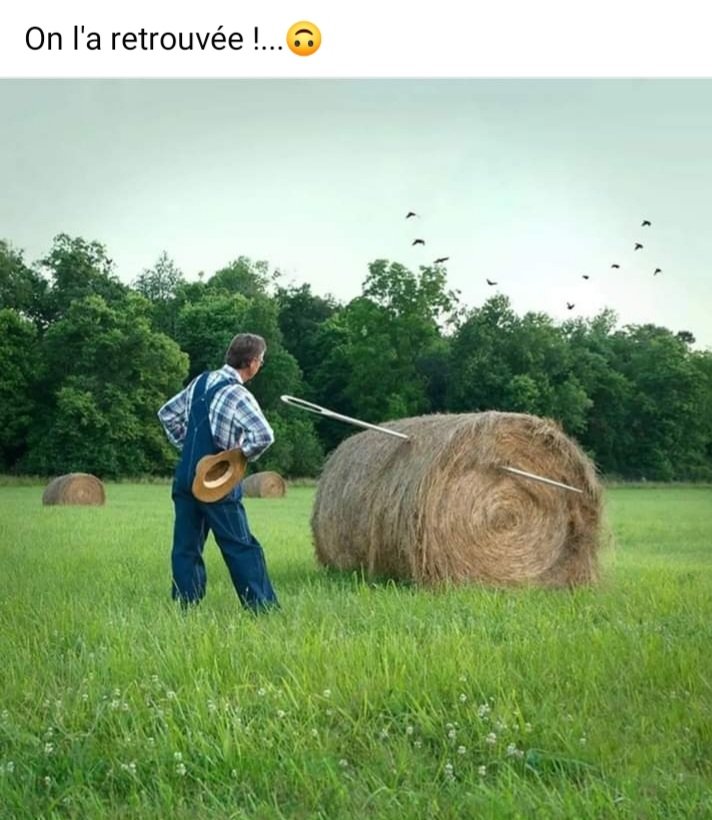 mauduitf's tweet image. 