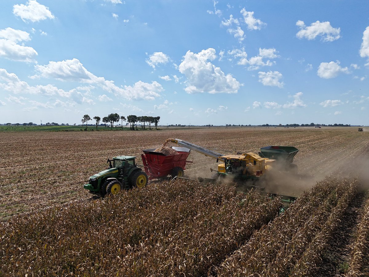SchutzFarms's tweet photo. Seedcorn Harvest ‘23🌽 https://t.co/YAt3vCL51L