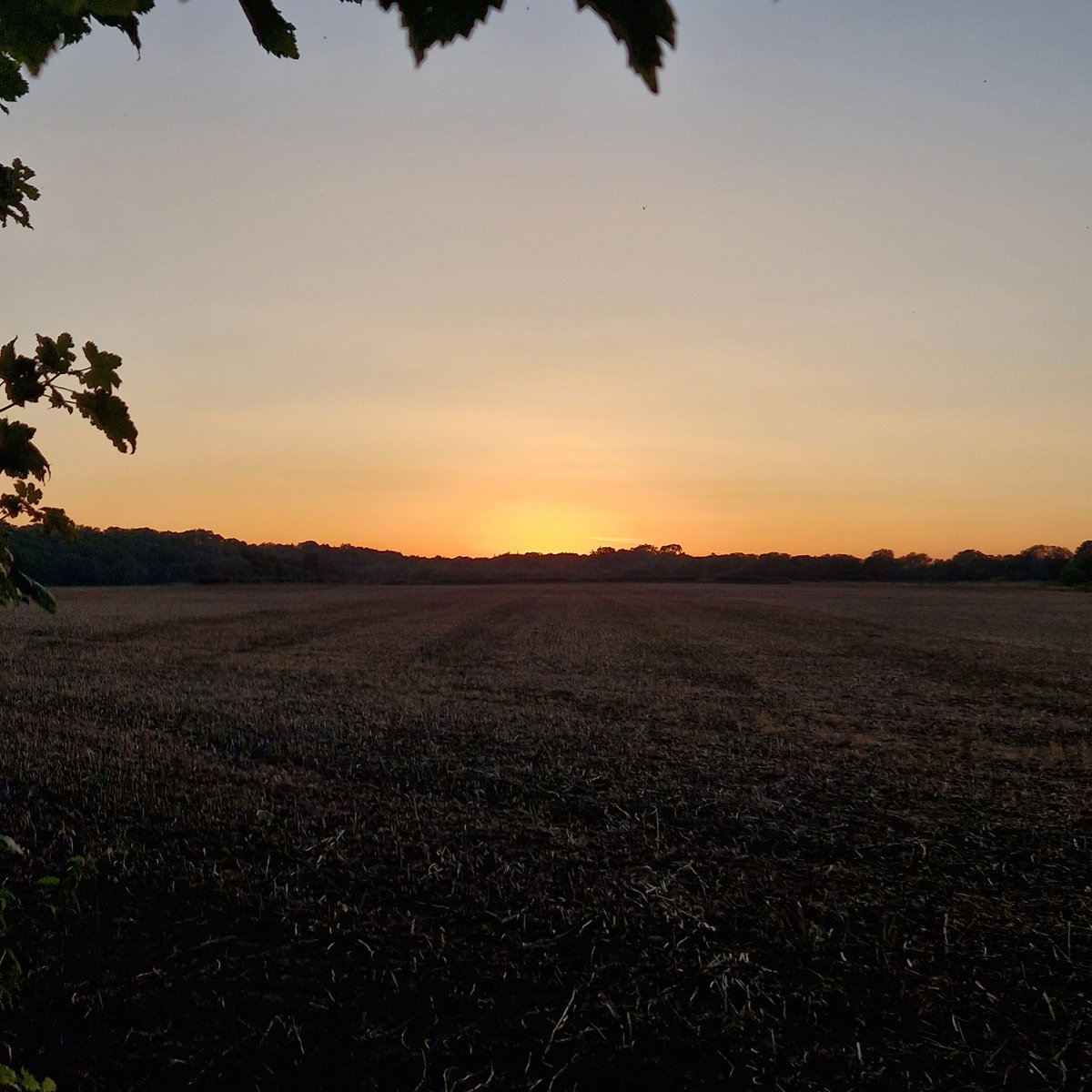 DrAt2009's tweet photo. Sunrise and sunset alongside the Tees, and a dissapppinting day in between.
#nointerview #disappointment #keeplookingfirwards #windowsofopportunity https://t.co/XUNHpMzbAy