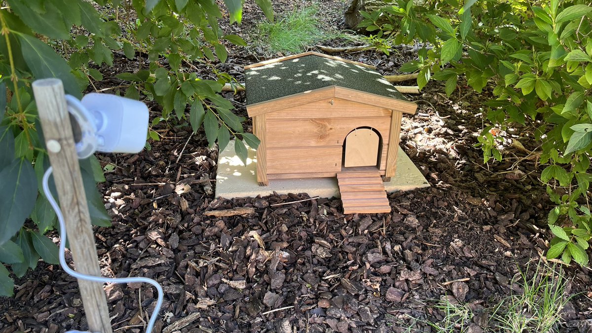 Udo Seiffert tweet media