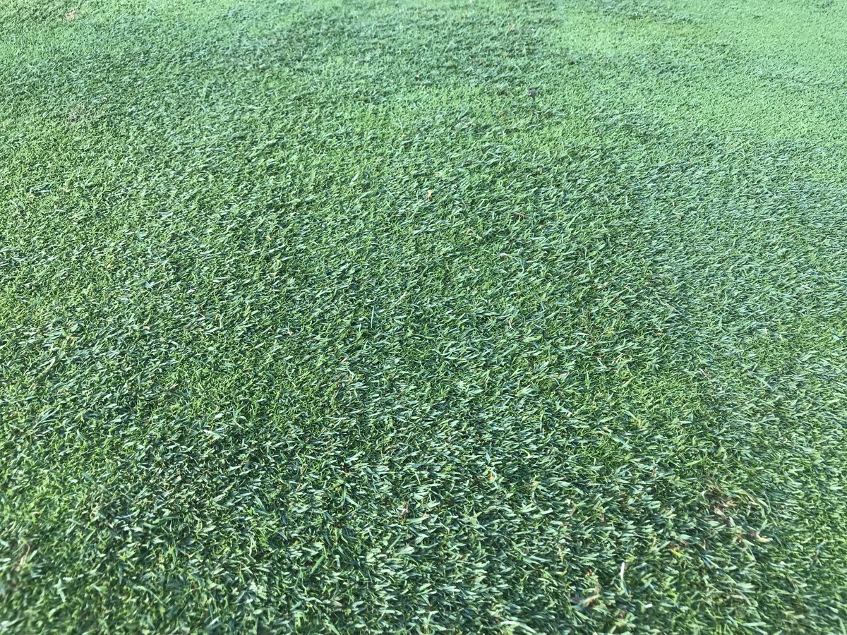 Mark Smith tweet media