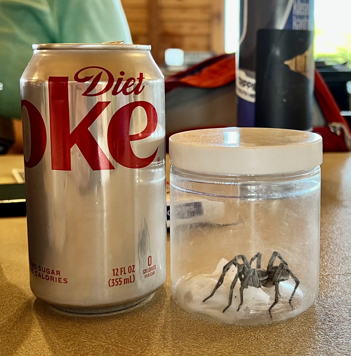 LPSScienceFocus's tweet photo. Eileen Hebets, UNL prof, and her grad students introduced us to spiders and ticks at Cedar Point Biological Station- even leading one SFP student to his research project. Learning happens at 12x speed when you are immersed. #CPBS23 https://t.co/ZDYU681cD6