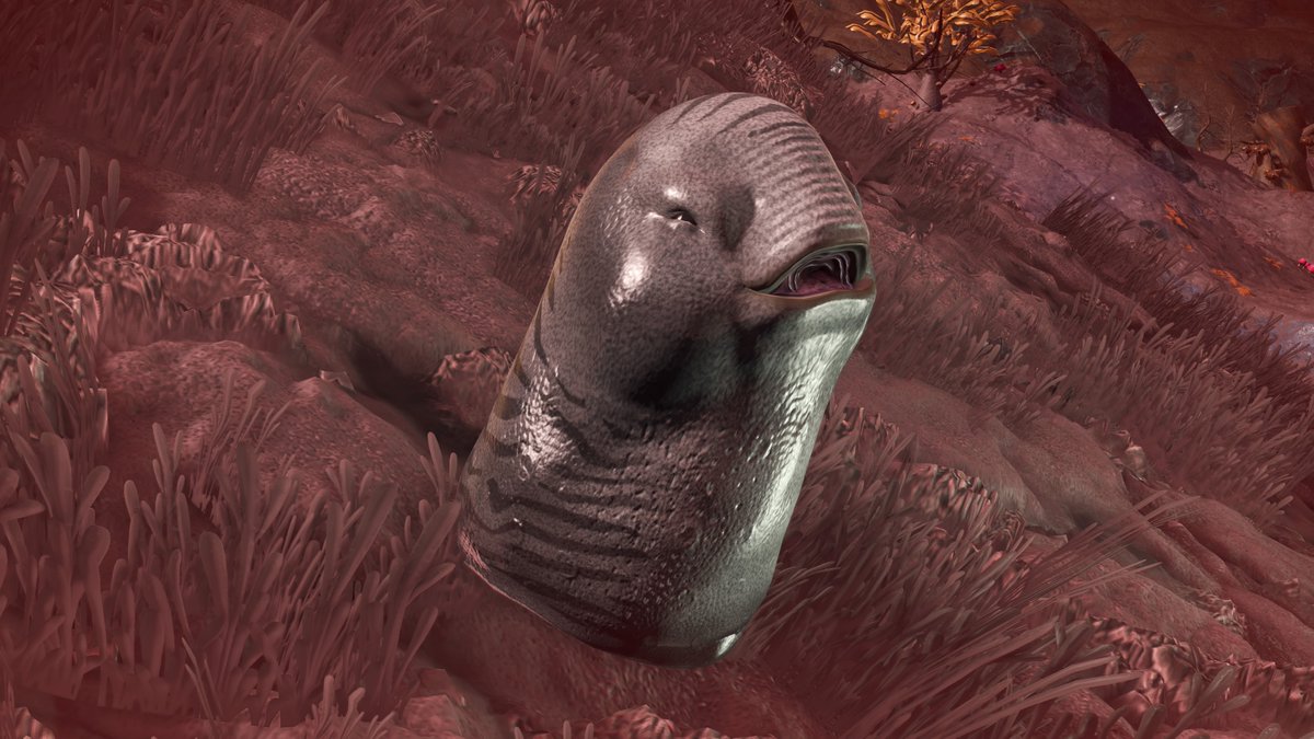 nms_friendstacy's tweet photo. Blob! #NMScreatures #PS5Share, #NoMansSky https://t.co/ywOJ2U5gOw
