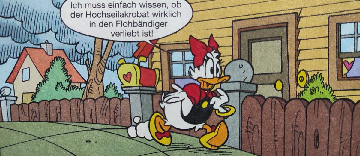Entenfan tweet media