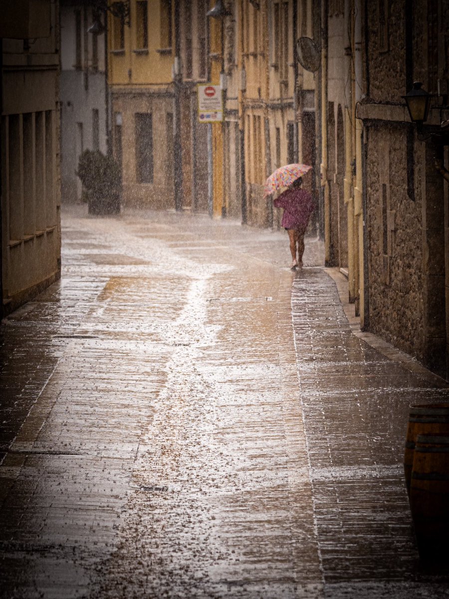 Por fin! La #lluvia en #aguilardecampoo