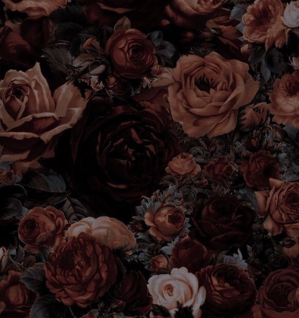 ㅤ
——— 𝖴𝖭D𝖤𝖱WO𝖱𝖫D Q𝖴𝖤𝖤𝖭 ⨾

ㅤ❛ Mother, you don’t understand;

ㅤㅤI made Hᴀᴅᴇs run to 𝘔𝘌
ㅤ  He saw my ʙᴏɴᴇs beneath
And offered me half his 𝖪𝖨𝖭𝖦𝖣𝖮𝖬
ㅤㅤㅤ  Do you 𝘳𝘦𝘢𝘭𝘭𝘺 𝒕𝒉𝒊𝒏𝒌
ㅤㅤI 𝘢𝘵𝘦 the fruit 𝒖𝒏𝒘𝒊𝒍𝒍𝒊𝒏𝒈𝒍𝒚? ❜

╱╱ 𝖱𝖳﹢𝖬𝖦