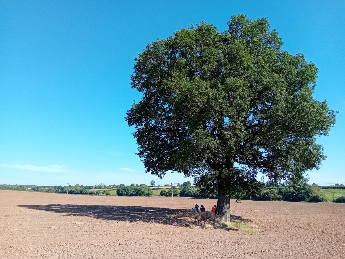 LawrenceBillin8's tweet photo. Fieldwalking, tea break. https://t.co/SFiQkfO4hK