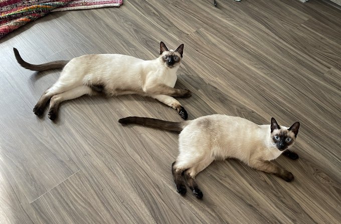 See you later in today&rsquo;s Shining Miniseries episode! https://t.co/HM0NghIXsq<a href="/tag/mothersday"class="tags"><span>#mothersday</span></a>