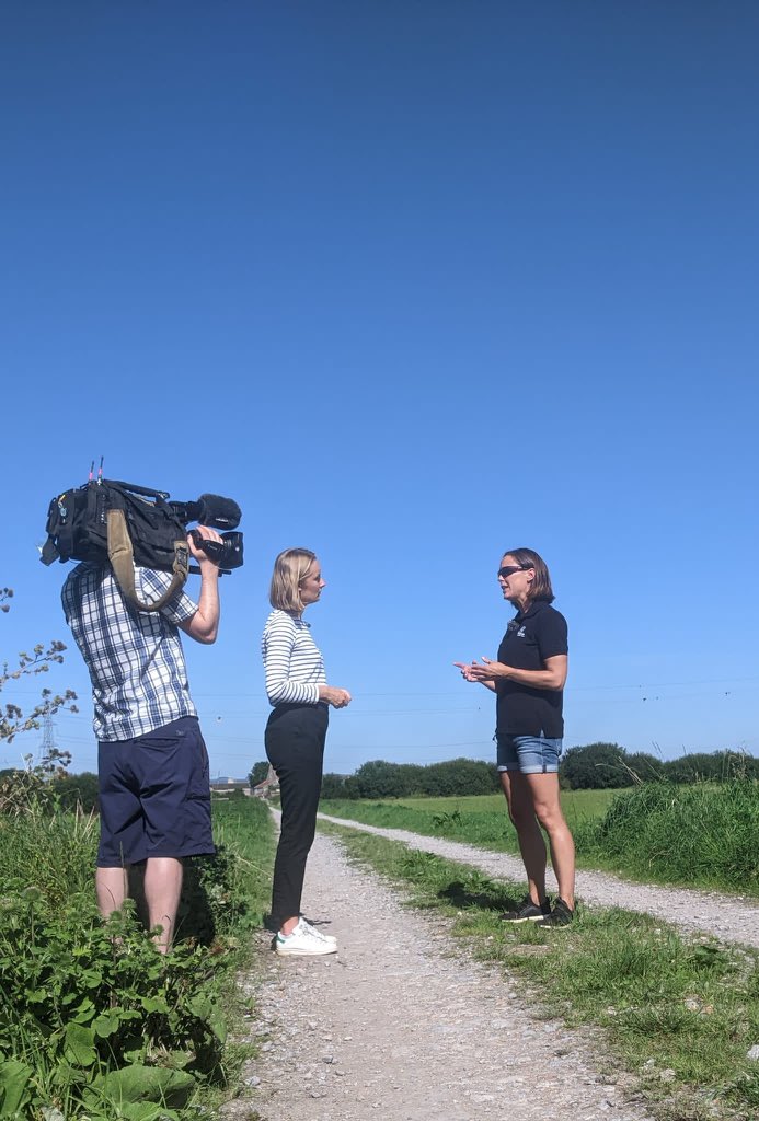 Filming on the #Somerset Levels with ITV today talking about the importance of #nutrientneutrality & why we can’t let the government get rid of it.