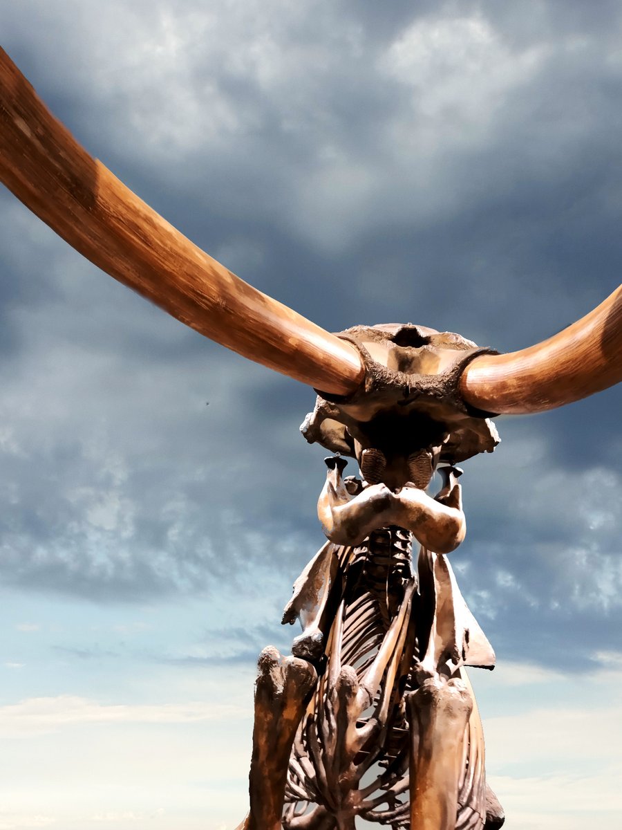 Brandon_HC_Lim's tweet photo. Check out the latest #StoryPromptOfTheWeek. 

The image is a composite taken at Le Brea Tar Pits and Newport Beach, California. 

https://t.co/bJrB3J8EUM
#Kidlit #MGfantasy https://t.co/51CwCf3qSO
