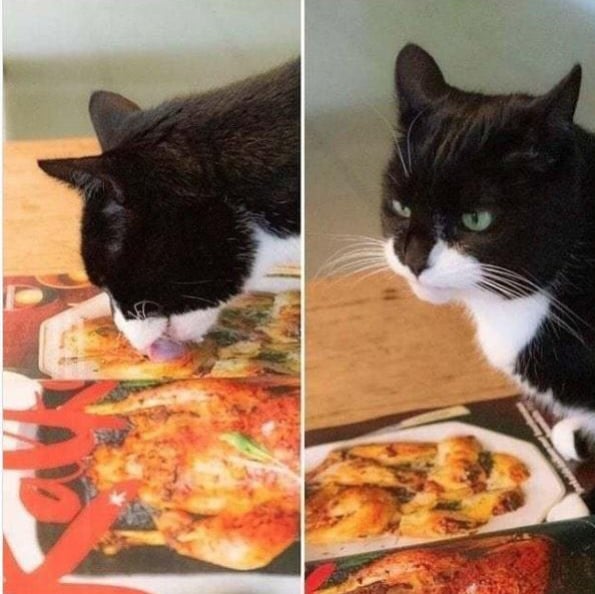 this is not a bookclub tweet media