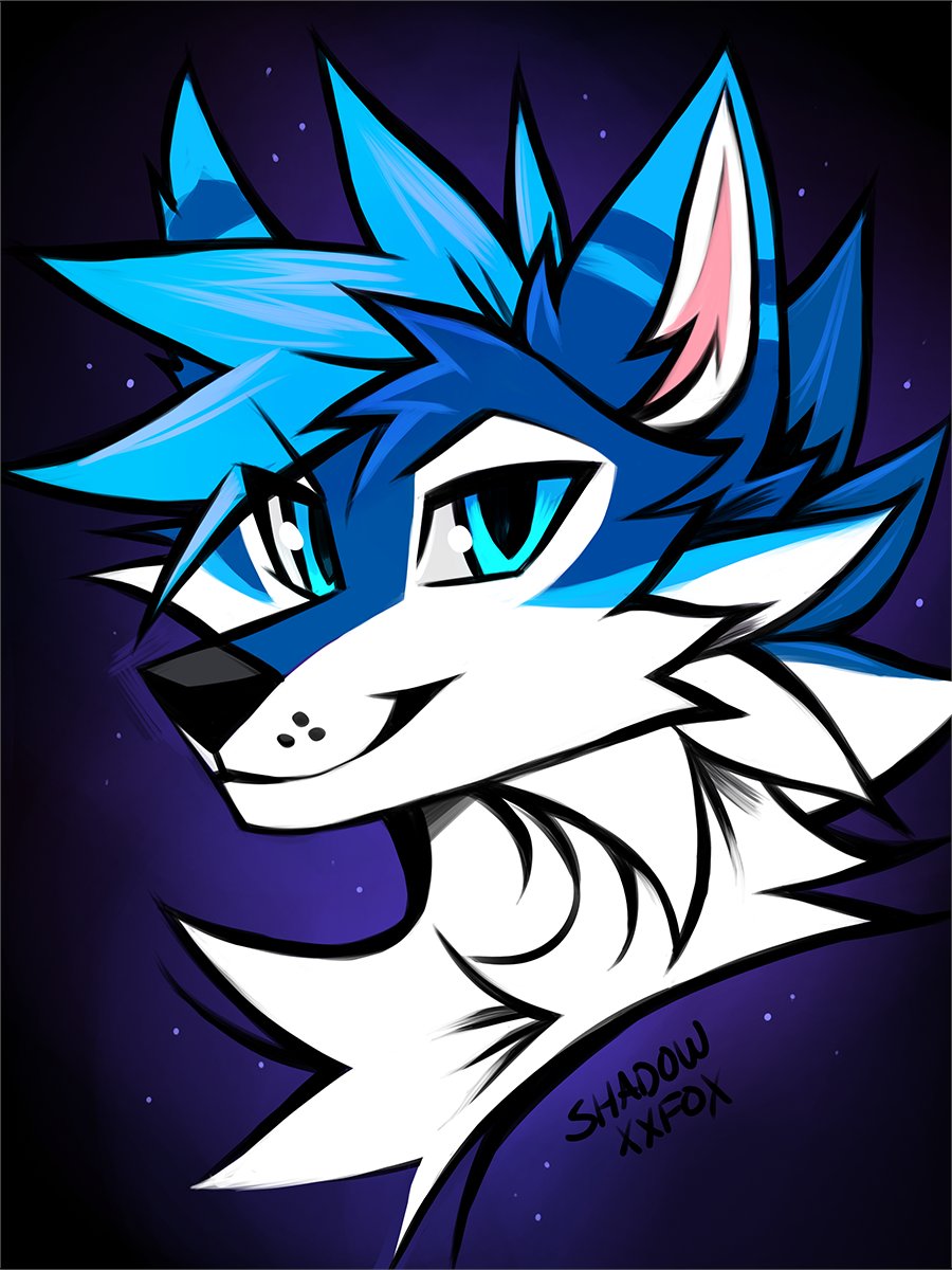 CircuitWolfy's tweet image. Cool artwork by @StardustxWolf!