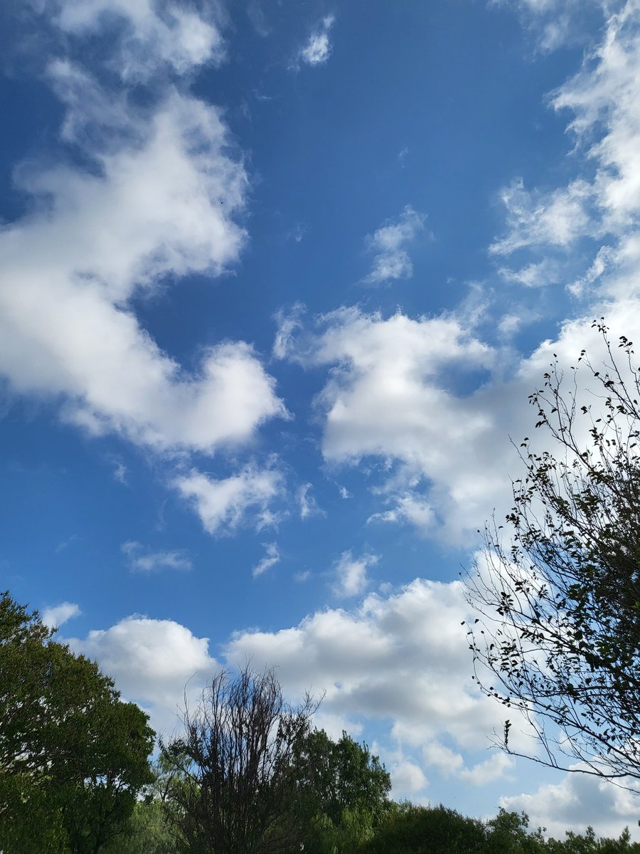 TexSun48's tweet photo. #WhenICantFindMyWay
I look up ๐ https://t.co/8aMuAlHj7v