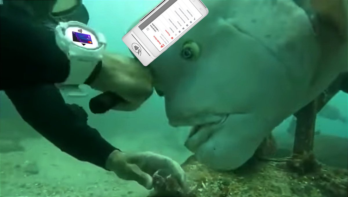 Альфа Банк (Беларусь) tweet media