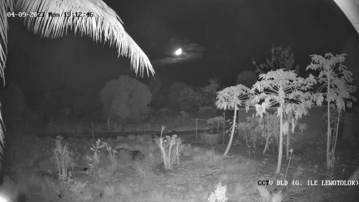 InfoFPMKI's tweet photo. Visual G Ili Lewotolok. Dari CCTV-BLD mlm ini

#PVMBG #PPGA_ILI_LEWOTOLOK #INFO
#PUBLIK_BICARA_LEMBATA
#TAAN_TOU
#MELAPORKAN https://t.co/2KZyQdCBUV