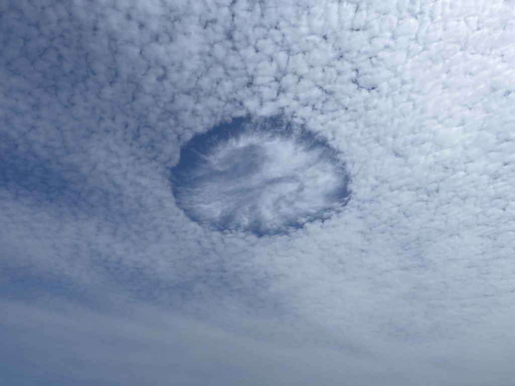 kmccarthy26's tweet photo. @EddieSheerr what the heck is this cloud formation? Bellevue Beach Labour Day. https://t.co/S9dxhNmTul