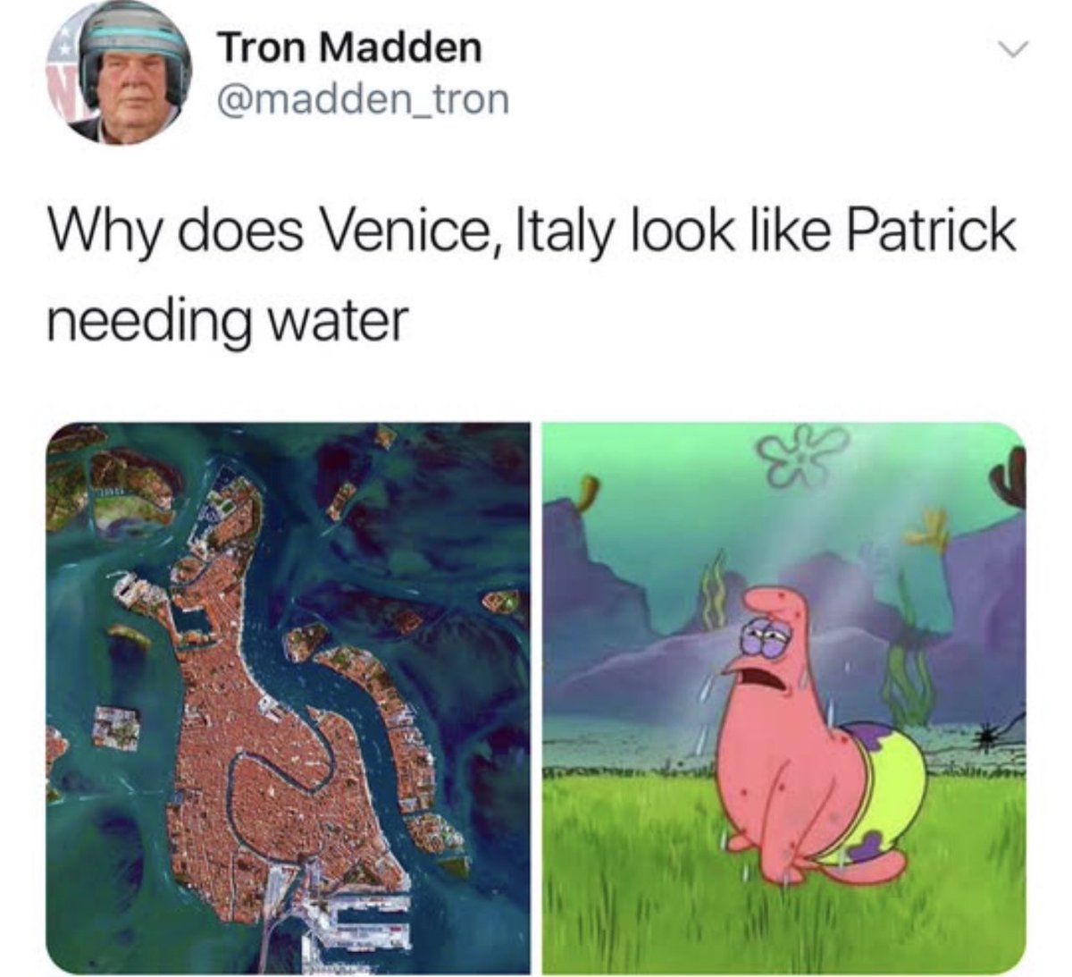 internet hall of fame tweet media