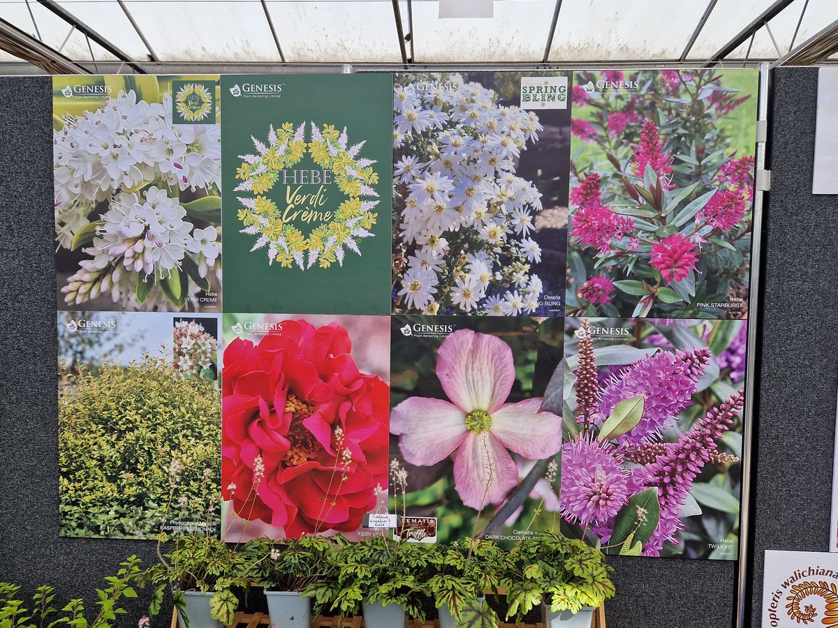 Nigel Judd tweet media