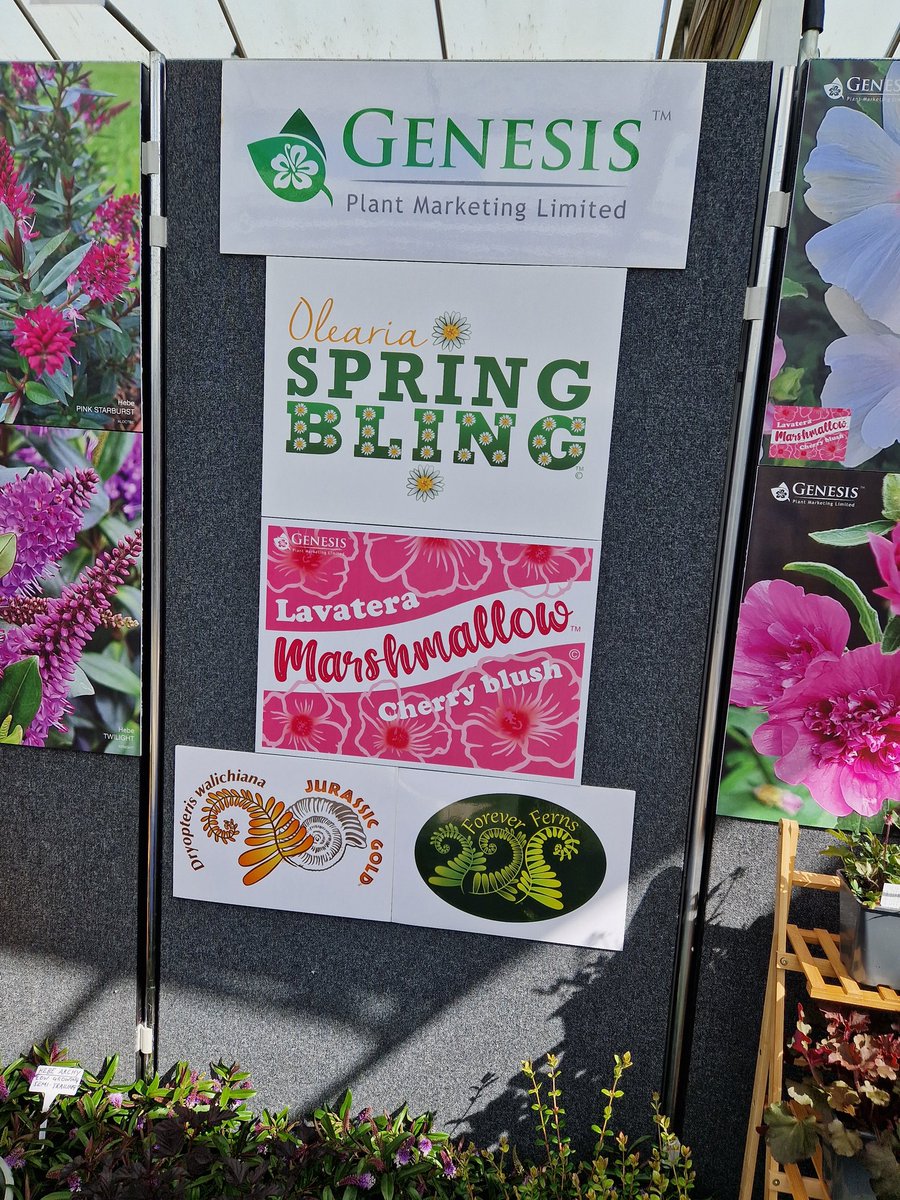 Nigel Judd tweet media