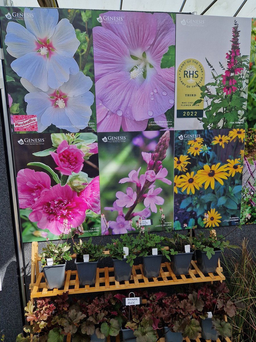 Nigel Judd tweet media