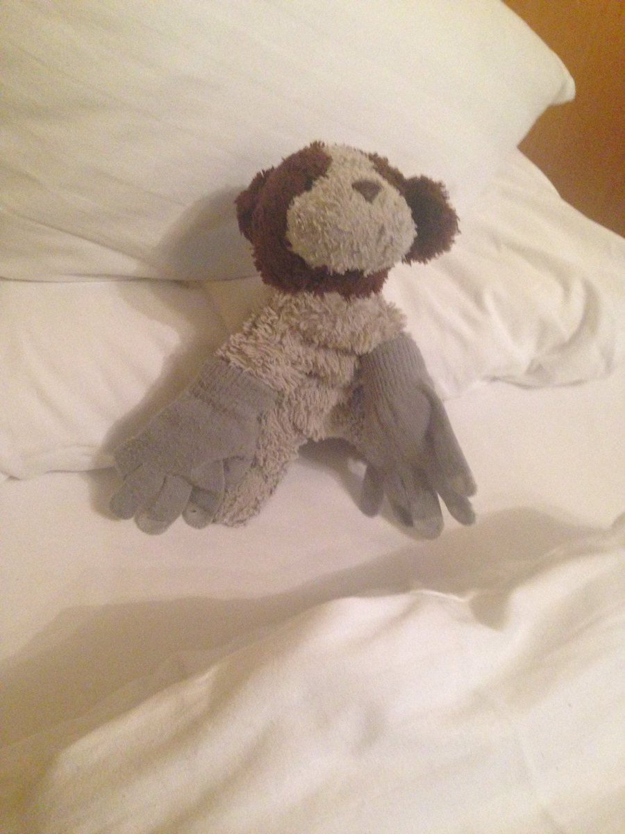 im_smog_'s tweet photo. @wkd_witch0 My favourite thing coming back to the hotel was to see what my dog was doing each day https://t.co/Zr4DAesCi9