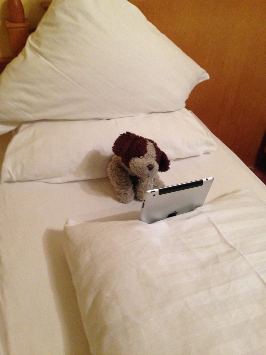 im_smog_'s tweet photo. @wkd_witch0 My favourite thing coming back to the hotel was to see what my dog was doing each day https://t.co/Zr4DAesCi9