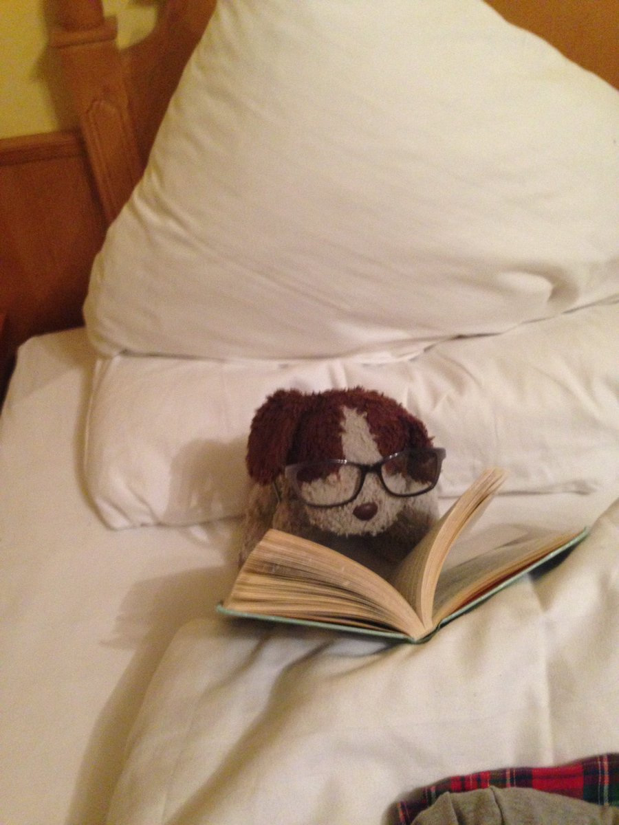im_smog_'s tweet photo. @wkd_witch0 My favourite thing coming back to the hotel was to see what my dog was doing each day https://t.co/Zr4DAesCi9