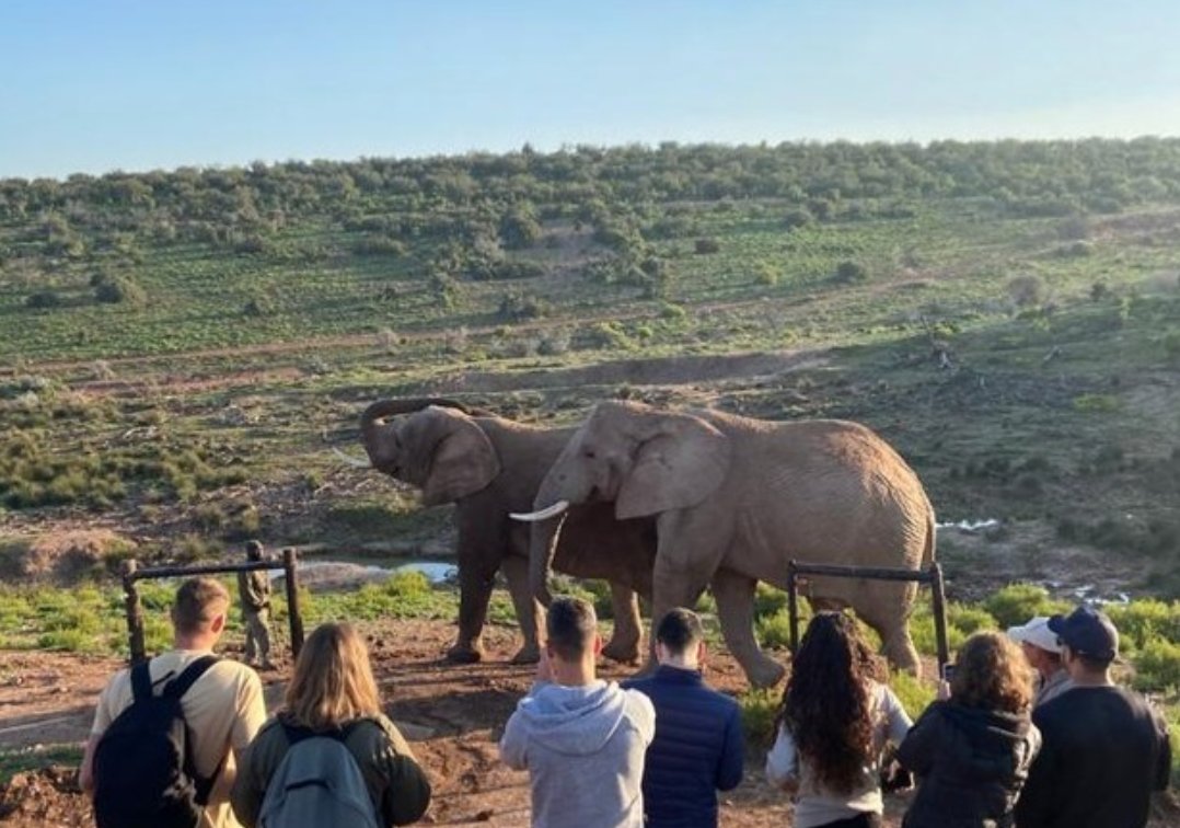 hotspots2c's tweet image. 🖐 𝐋𝐄𝐓 𝐌𝐄 𝐓𝐄𝐋𝐋 𝐘𝐎𝐔 𝐒𝐎𝐌𝐄𝐓𝐇𝐈𝐍𝐆 😱 wait.. For those thinking &quot;what the #gardenroute!?&quot; and if you&apos;ve never heard of this ultimate road trip destination &amp;gt; come explore it with us ?😂
|📸: guide Ulrich &amp;amp; Jose

#southafricatours #tour2cchange #freetobesouthafrica