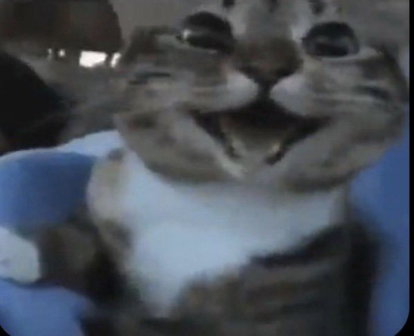 HandPuppetFred's tweet image. 