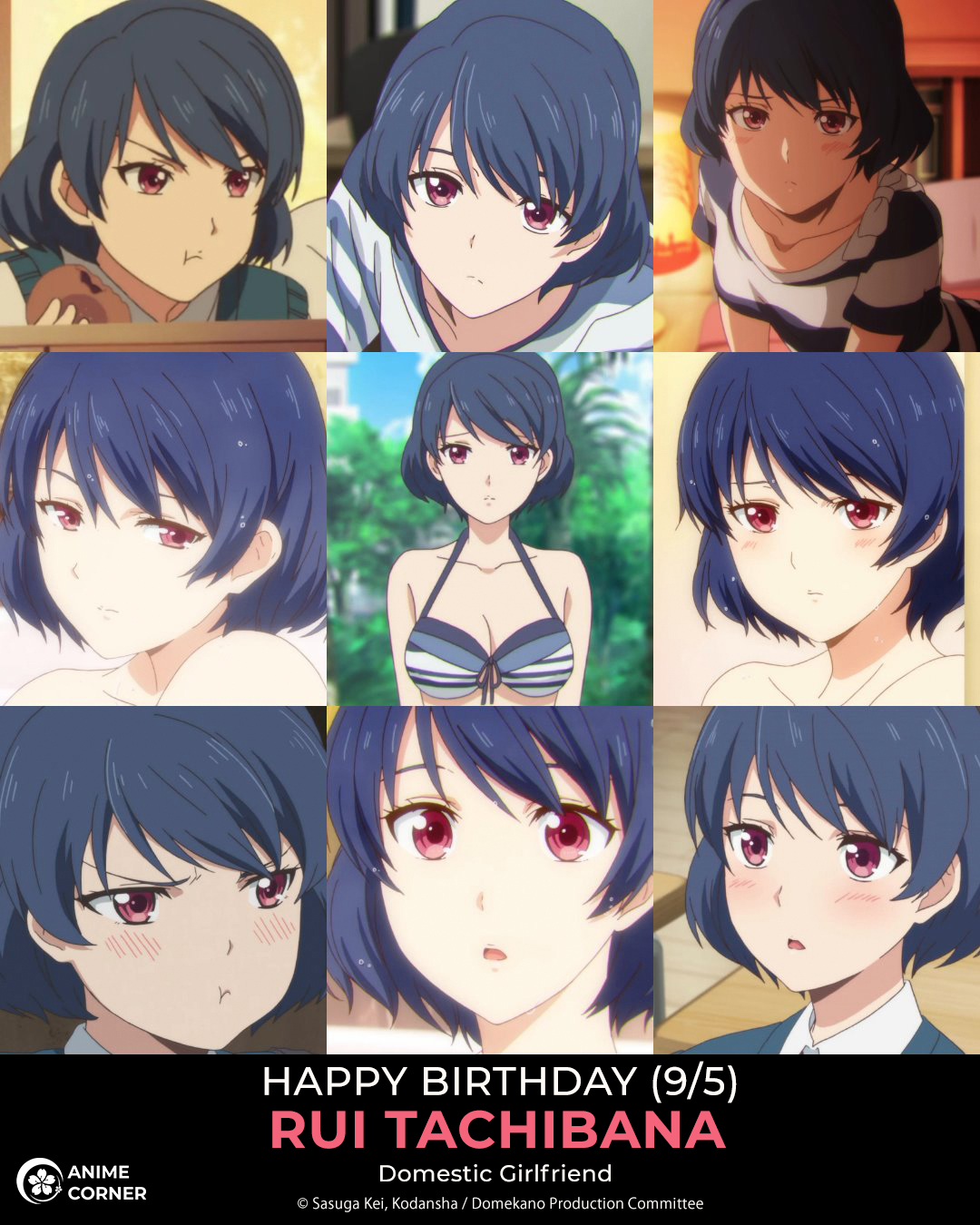 Anime Corner News - Happy birthday to Rui Tachibana! 🎂💙🎉 CV (JP