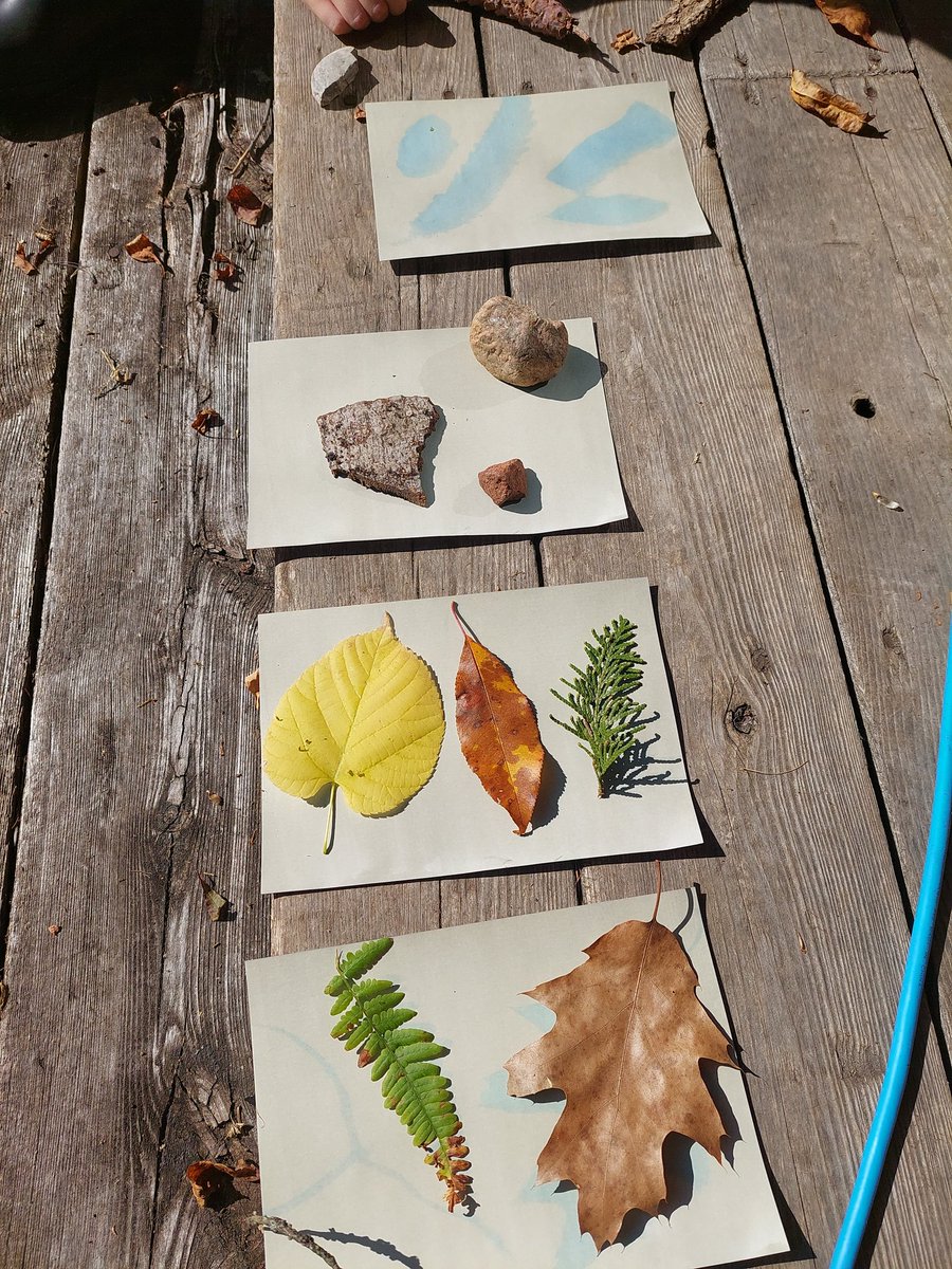 Sue in the Highlands tweet media